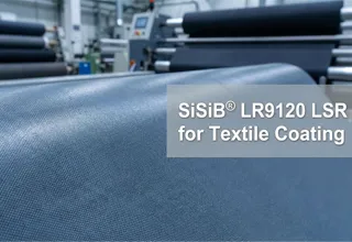 SiSiB® LR9120