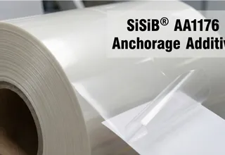 SiSiB® AA1176