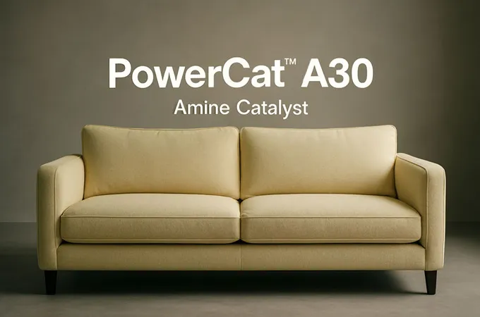 PowerCat-A30