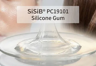 SiSiB® PC19101