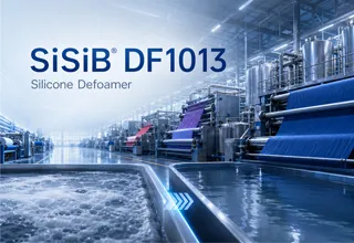 SiSiB® DF1013